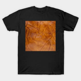 Old leather T-Shirt